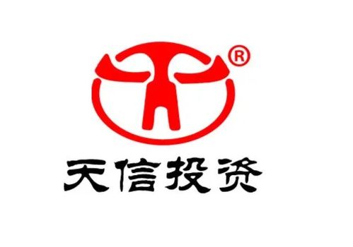 福建天信投資咨詢顧問 專業服務助力投資決策